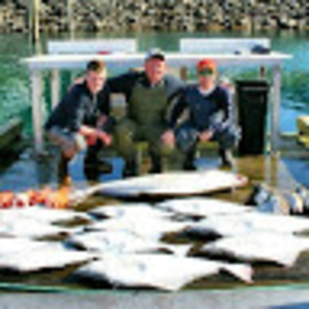 Meet your Posher, Blake